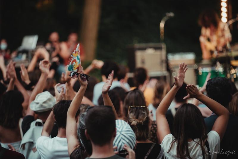 Un chanteur pop francais en pleine performance sur scène, entouré de lumières colorées et d'une foule enthousiaste